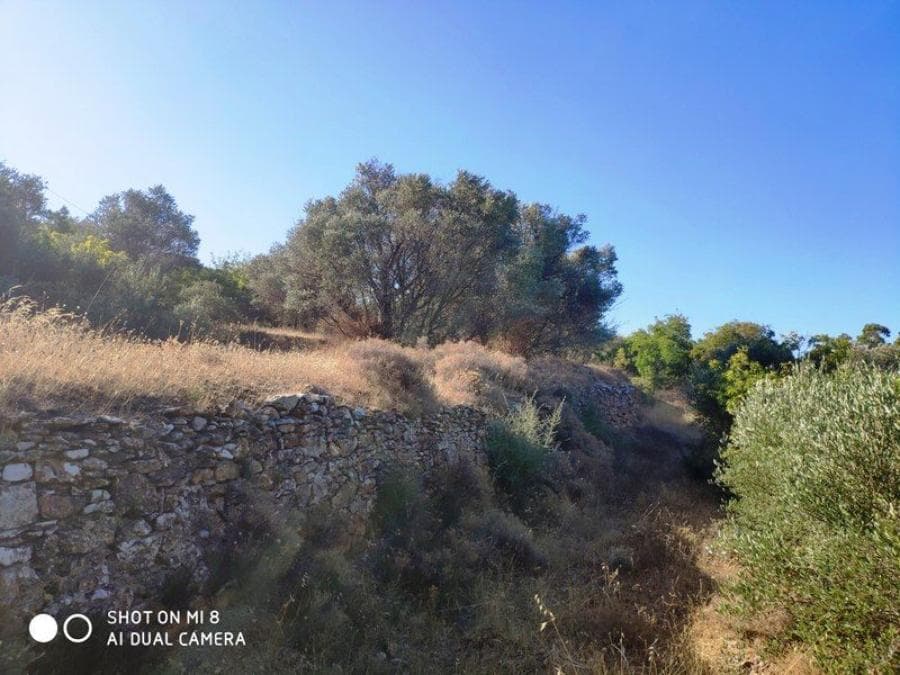 Building Plot in Agios Minas, Chios — Photo 7 of 7