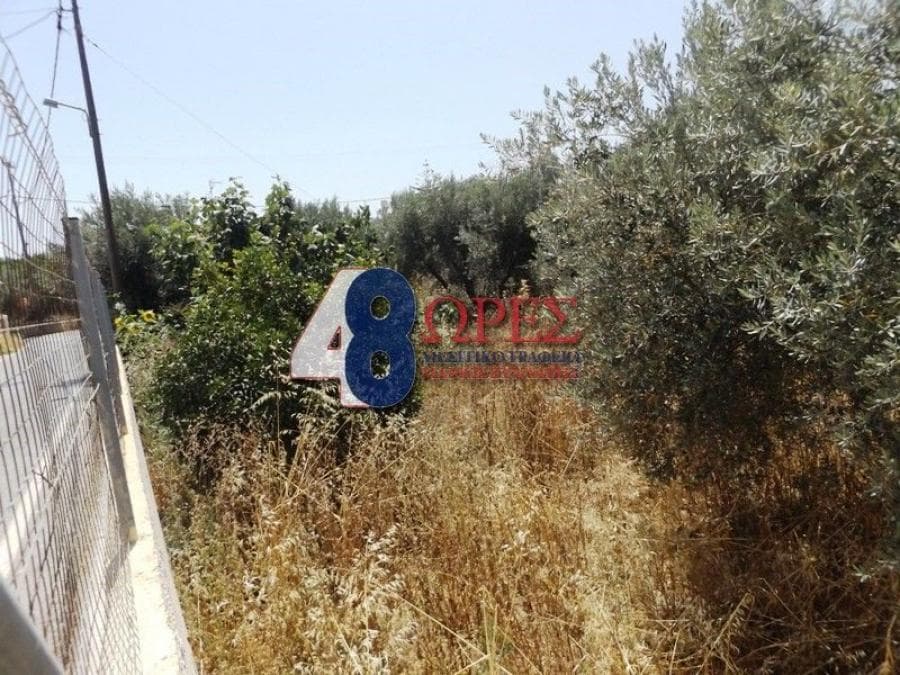 Building Plot in Chios town, Chios — Photo 6 of 6