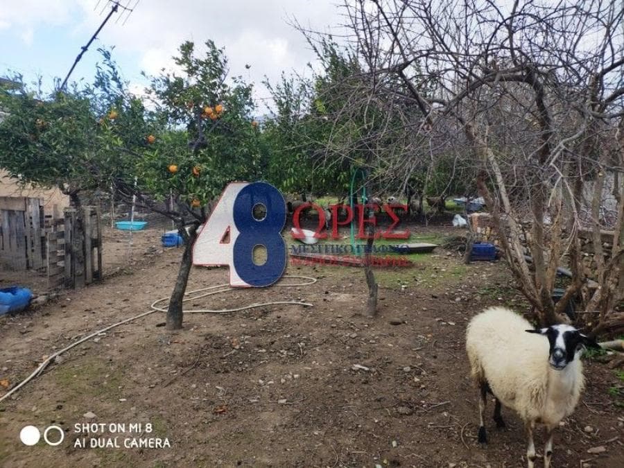 Building Plot in Chios town, Chios — Photo 10 of 13