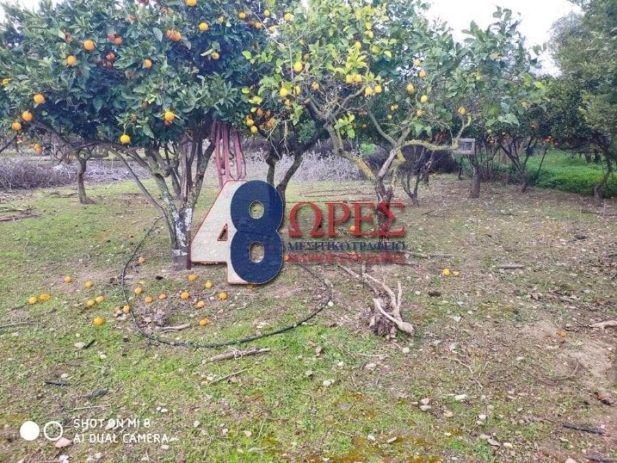 Building Plot in Chios town, Chios — Photo 5 of 13