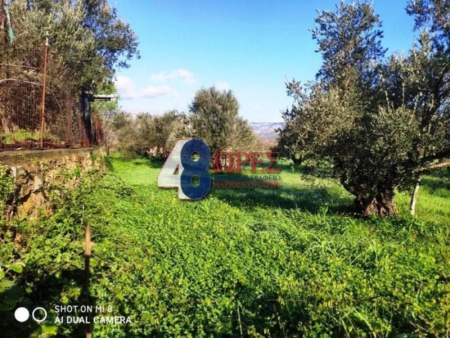 Building Plot in Agios Minas, Chios — Photo 7 of 9