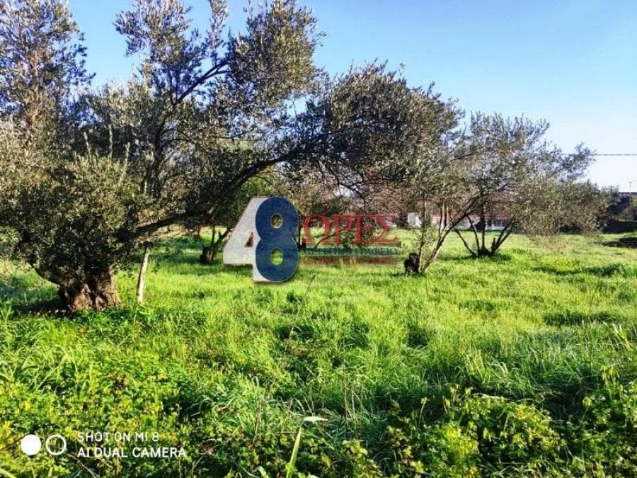 Building Plot in Agios Minas, Chios — Photo 8 of 9