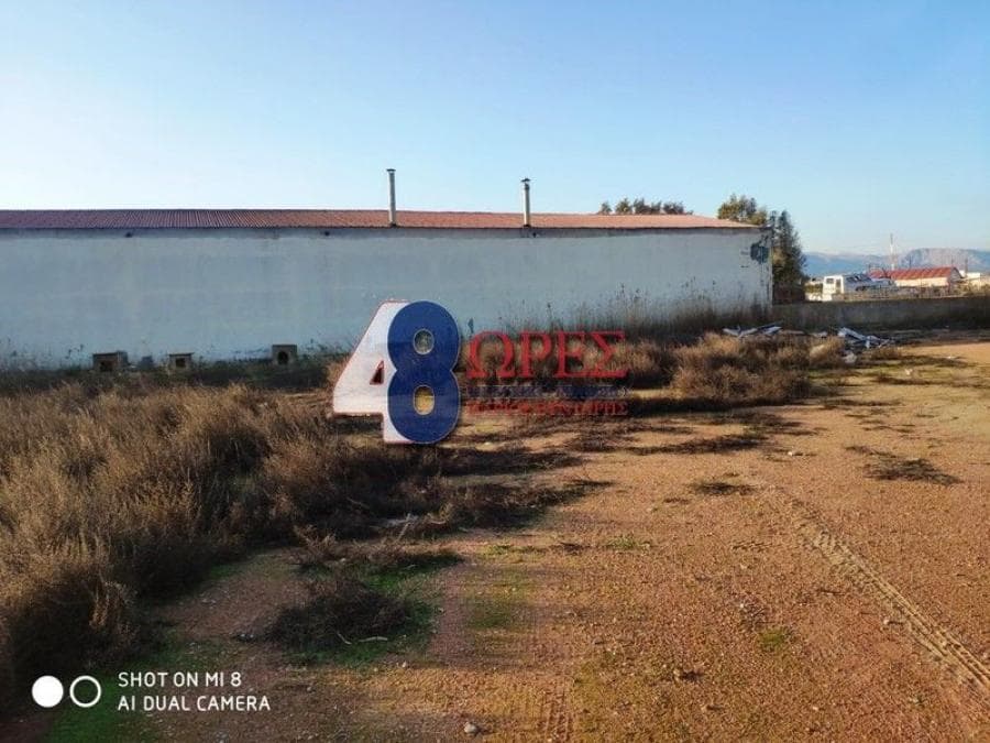 Building Plot in Agios Minas, Chios — Photo 5 of 25