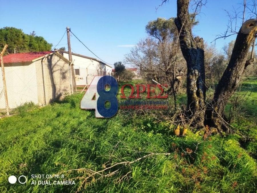 Building Plot in Kampochoria, Chios — Photo 10 of 16