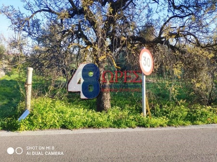 Building Plot in Kampochoria, Chios — Photo 13 of 16