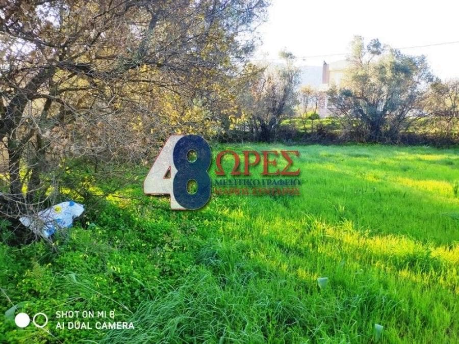 Building Plot in Kampochoria, Chios — Photo 3 of 16