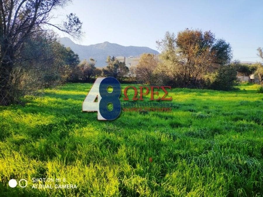 Building Plot in Kampochoria, Chios — Photo 4 of 16