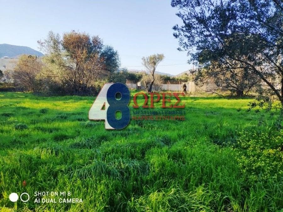 Building Plot in Kampochoria, Chios — Photo 5 of 16
