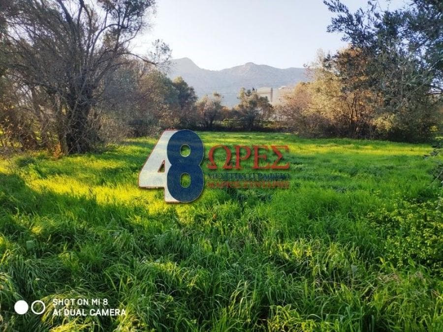 Building Plot in Kampochoria, Chios — Photo 6 of 16