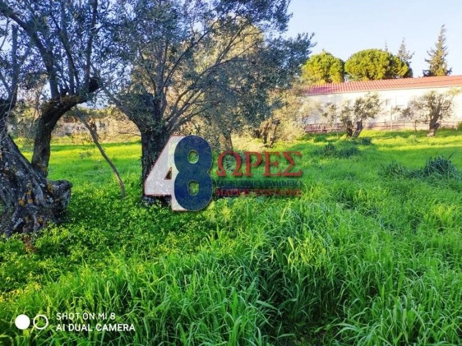 Building Plot in Kampochoria, Chios — Photo 7 of 16
