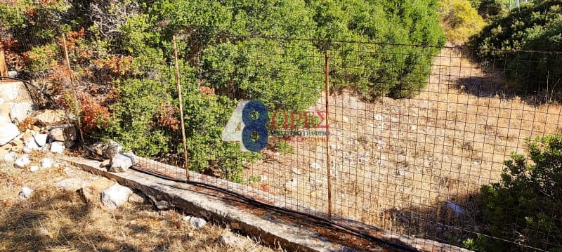 Parcel in Mastichochoria, Chios — Photo 6 of 12