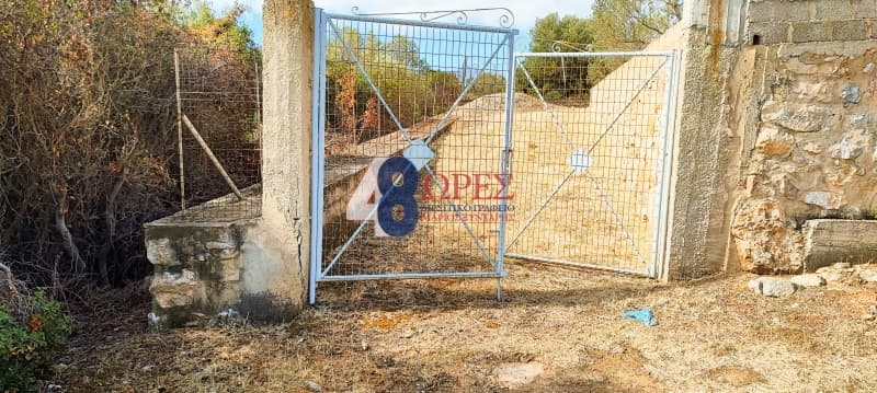 Parcel in Mastichochoria, Chios — Photo 7 of 12