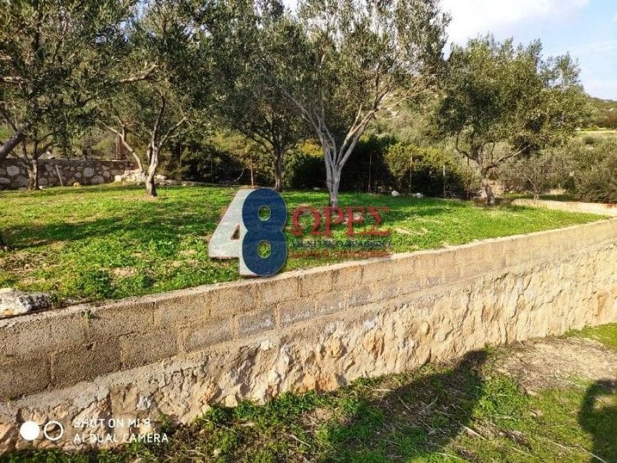 Parcel in Mastichochoria, Chios — Photo 8 of 12