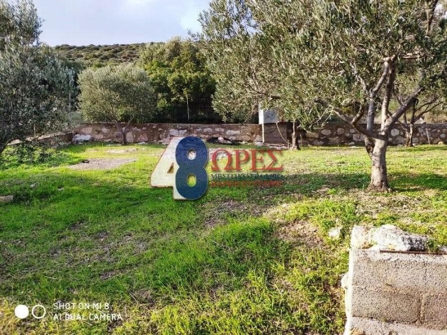 Parcel in Mastichochoria, Chios — Photo 9 of 12