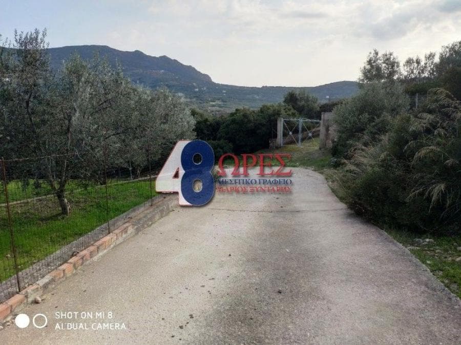 Parcel in Mastichochoria, Chios — Photo 12 of 12