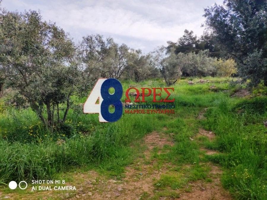 Building Plot in Agios Minas, Chios — Photo 2 of 9
