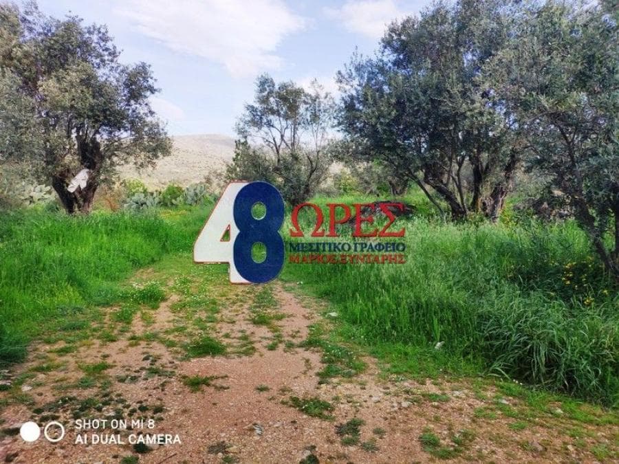 Building Plot in Agios Minas, Chios — Photo 3 of 9