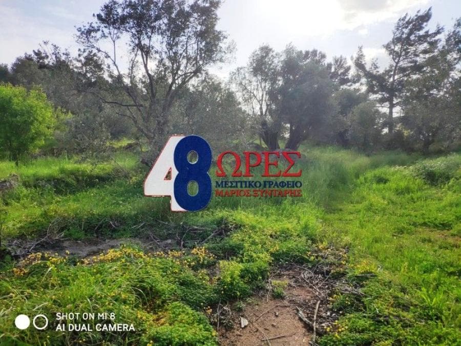 Building Plot in Agios Minas, Chios — Photo 4 of 9