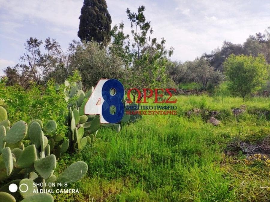Building Plot in Agios Minas, Chios — Photo 5 of 9