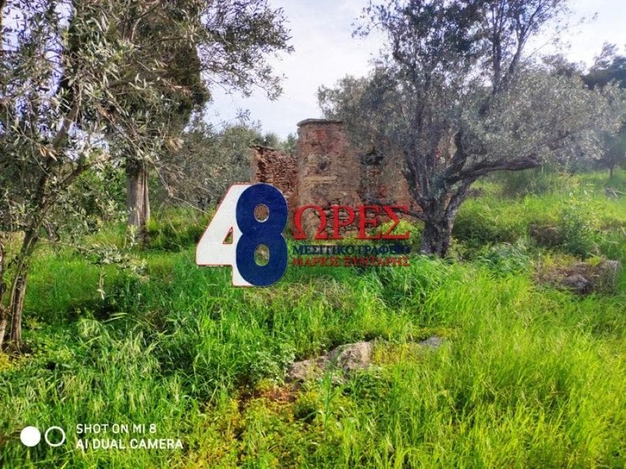 Building Plot in Agios Minas, Chios — Photo 6 of 9
