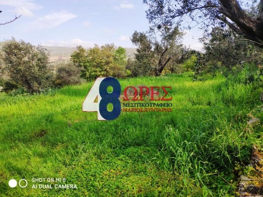 Building Plot in Agios Minas, Chios — Photo 7 of 9