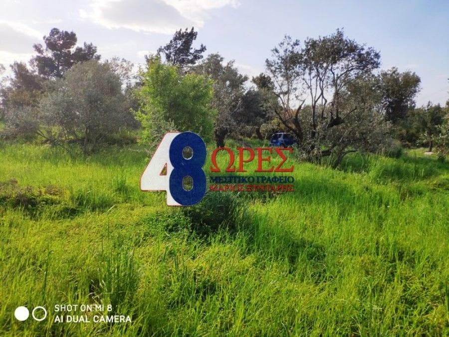 Building Plot in Agios Minas, Chios — Photo 8 of 9