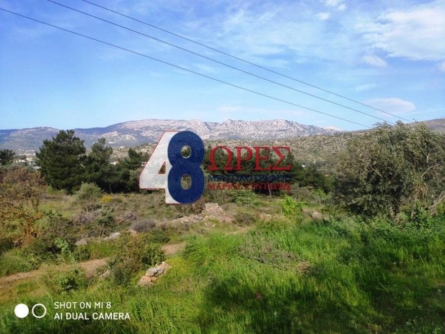 Building Plot in Agios Minas, Chios — Photo 9 of 9