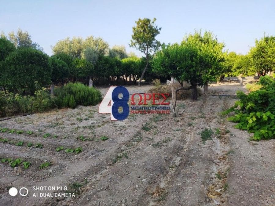 Building Plot in Chios town, Chios — Photo 7 of 10