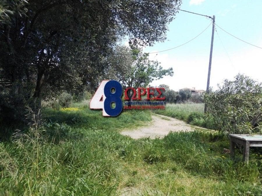 Building Plot in Agios Minas, Chios — Photo 22 of 25