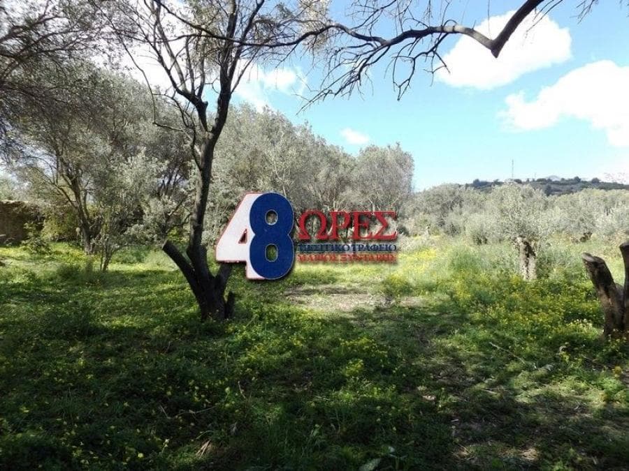 Building Plot in Agios Minas, Chios — Photo 23 of 25