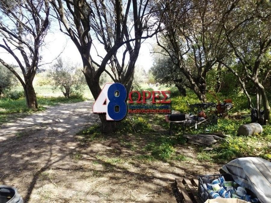Building Plot in Agios Minas, Chios — Photo 25 of 25