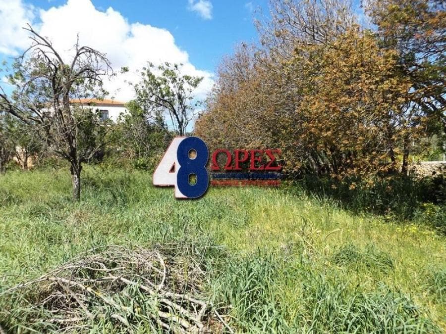 Building Plot in Agios Minas, Chios — Photo 4 of 25
