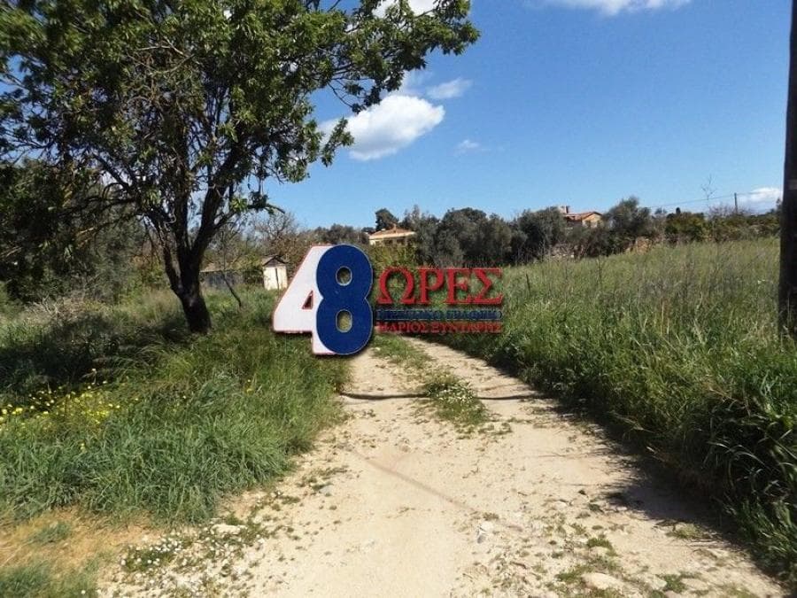 Building Plot in Agios Minas, Chios — Photo 7 of 25