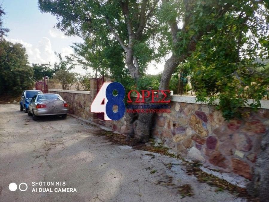 Parcel in Agios Minas, Chios — Photo 13 of 16