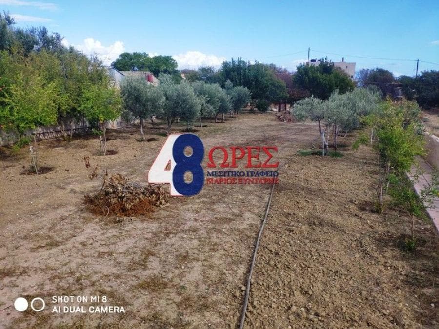 Parcel in Agios Minas, Chios — Photo 3 of 16
