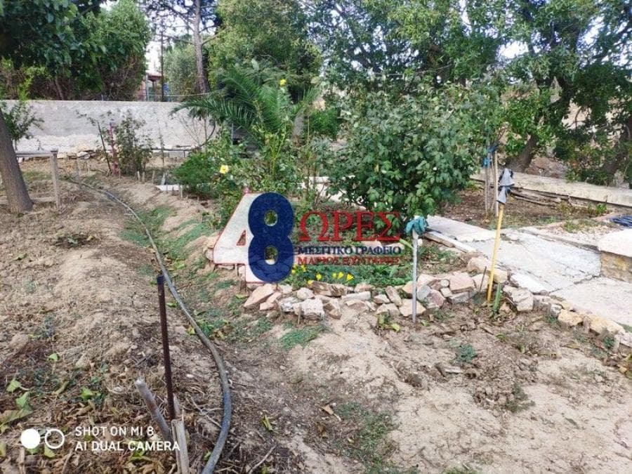 Parcel in Agios Minas, Chios — Photo 4 of 16