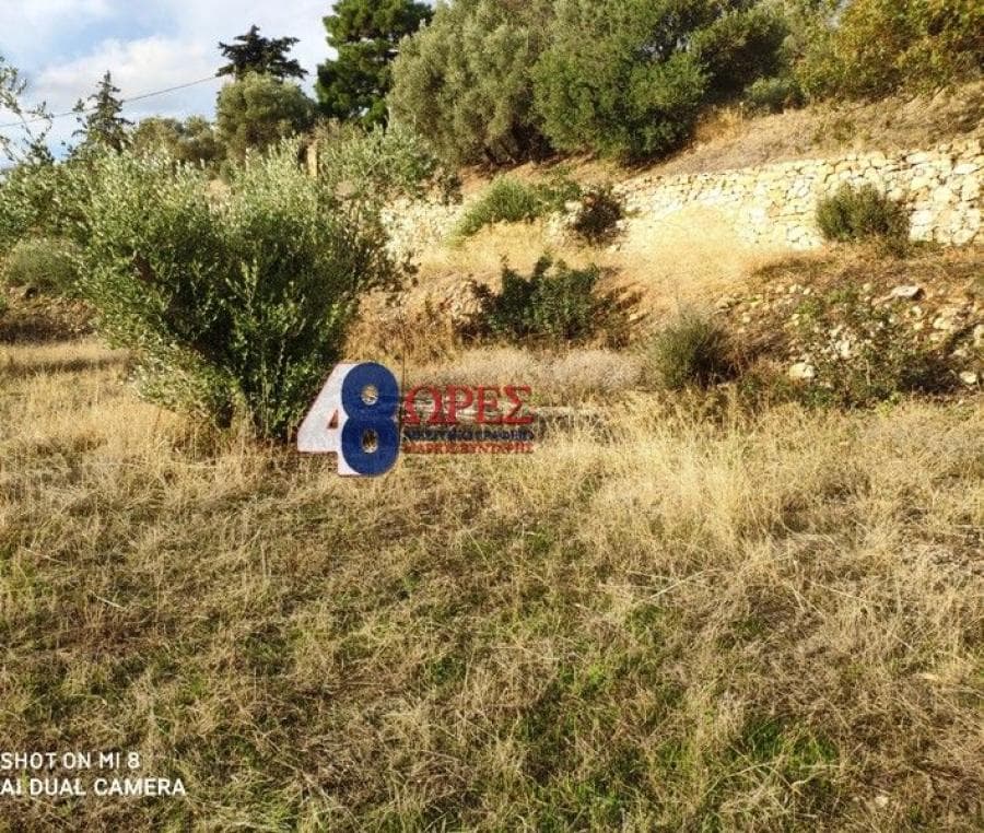 Building Plot in Agios Minas, Chios — Photo 10 of 20