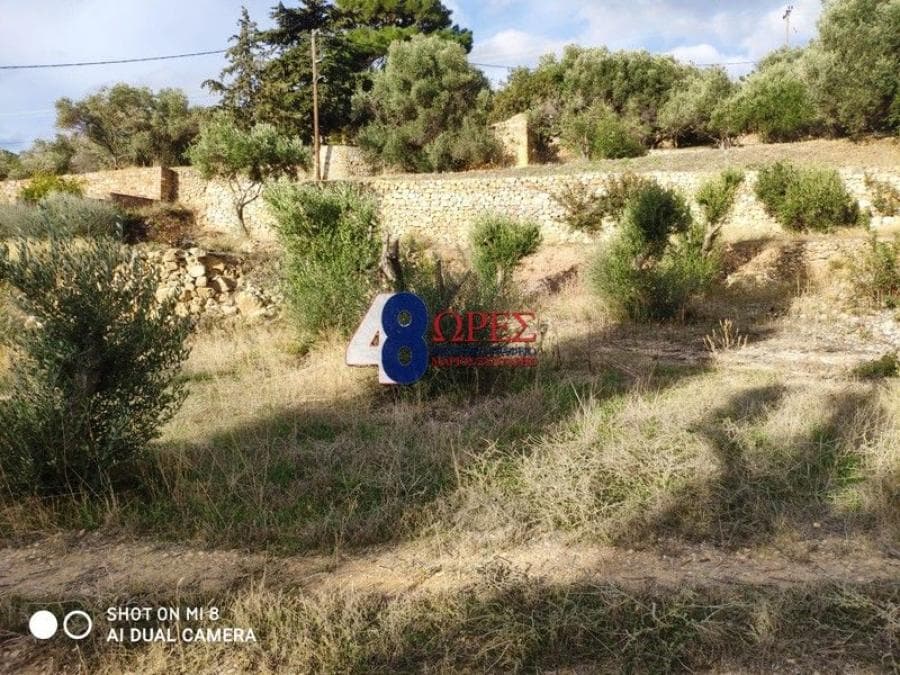 Building Plot in Agios Minas, Chios — Photo 15 of 20