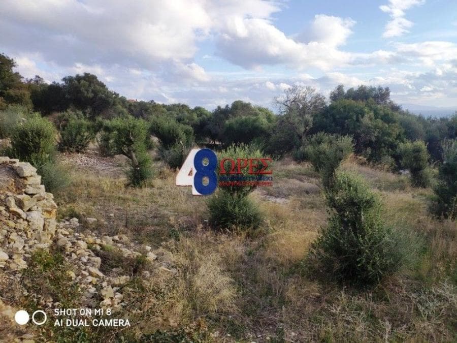 Building Plot in Agios Minas, Chios — Photo 5 of 20