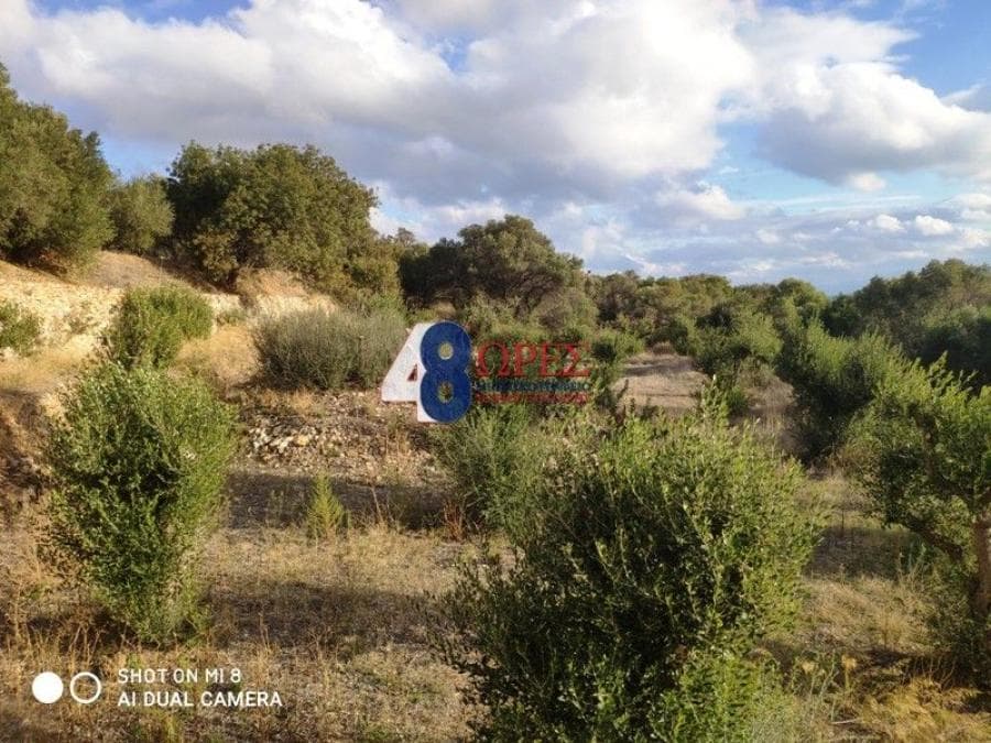 Building Plot in Agios Minas, Chios — Photo 7 of 20