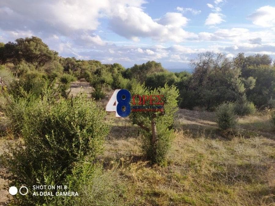 Building Plot in Agios Minas, Chios — Photo 8 of 20