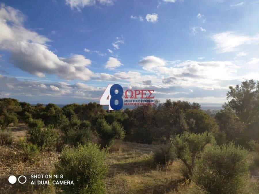 Building Plot in Agios Minas, Chios — Photo 9 of 20