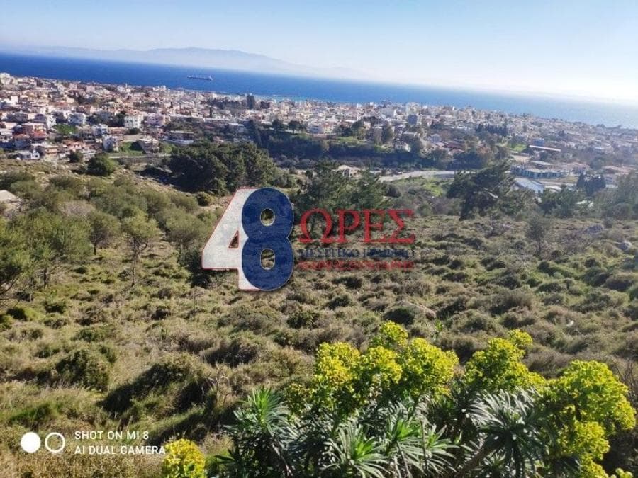 Parcel in Chios town, Chios — Photo 1 of 12