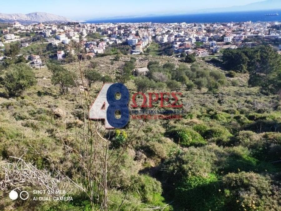 Parcel in Chios town, Chios — Photo 3 of 12