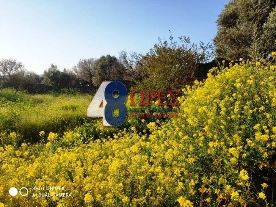 Building Plot in Chios town, Chios — Photo 5 of 15