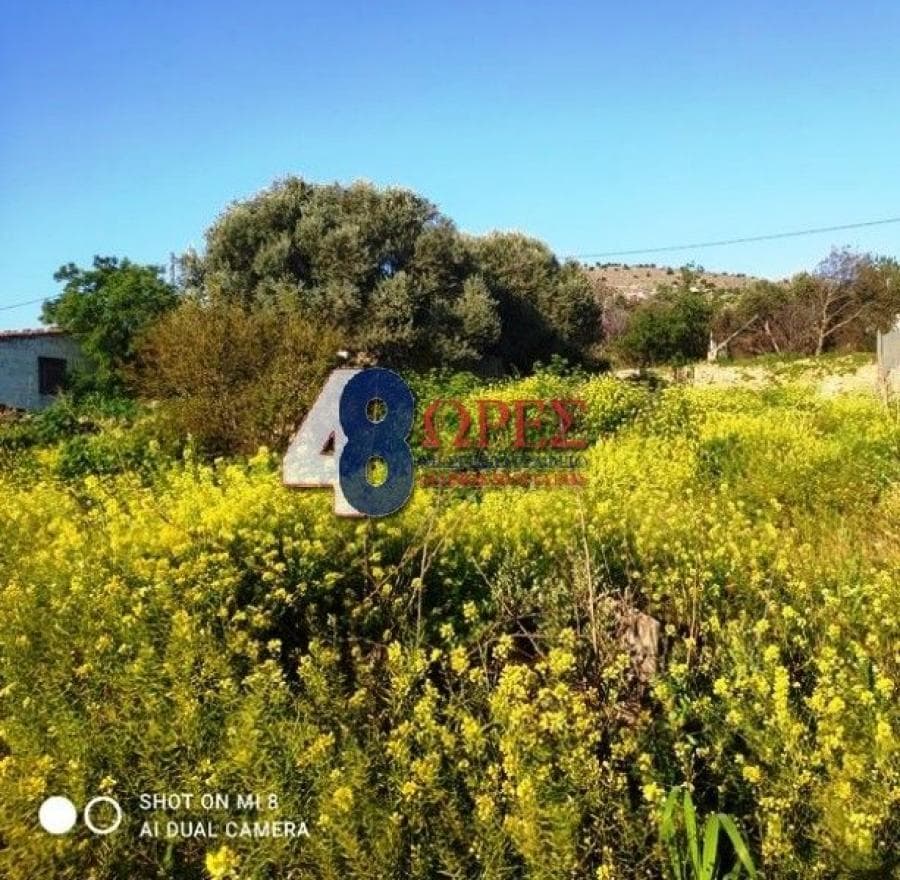 Building Plot in Chios town, Chios — Photo 8 of 15