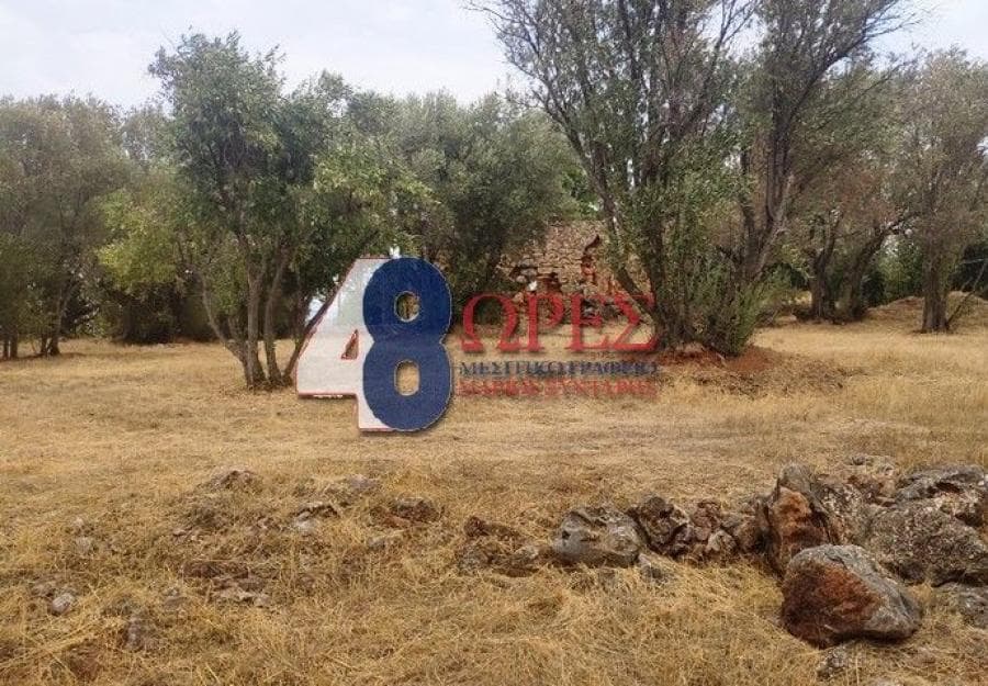 Οικόπεδο στην Άγιος Μηνάς, Χίος — Φωτογραφία 10 από 24