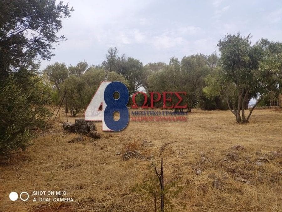 Οικόπεδο στην Άγιος Μηνάς, Χίος — Φωτογραφία 11 από 24