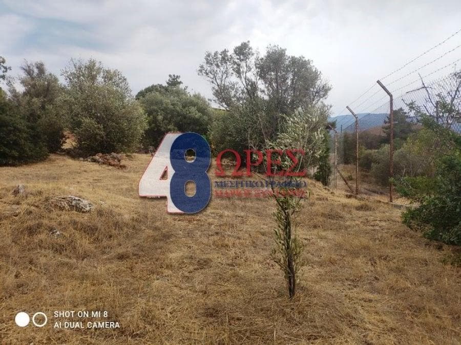 Οικόπεδο στην Άγιος Μηνάς, Χίος — Φωτογραφία 12 από 24