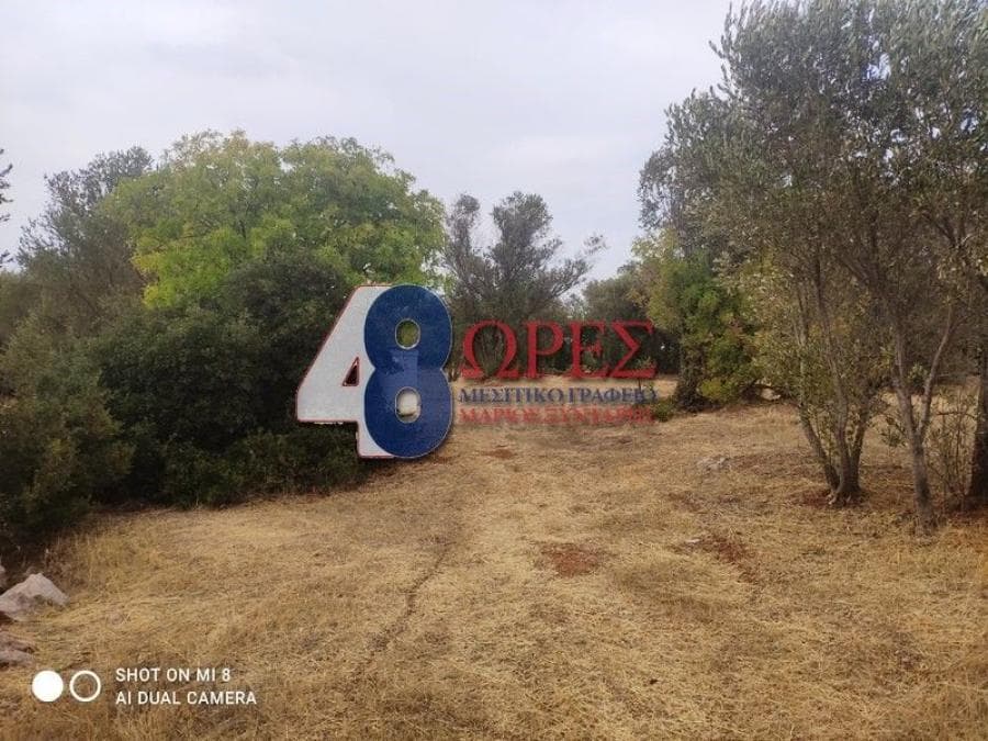 Οικόπεδο στην Άγιος Μηνάς, Χίος — Φωτογραφία 13 από 24